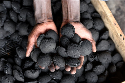 Charcoal Types: Which one should you choose?